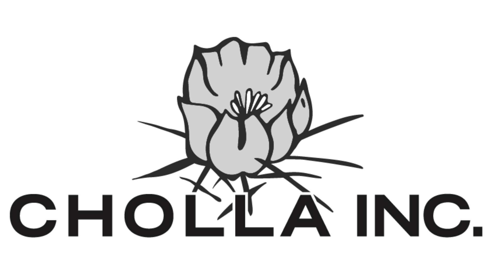 Cholla Inc